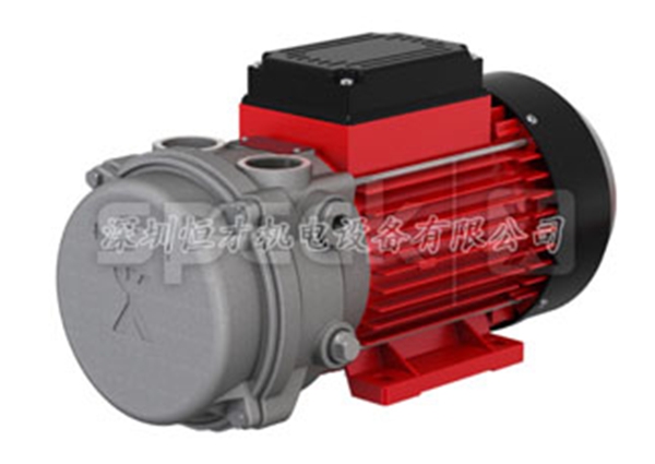 塑料成型中塑料挤出机用旋片真空泵 塑料成型中塑料挤出机用旋片真空泵